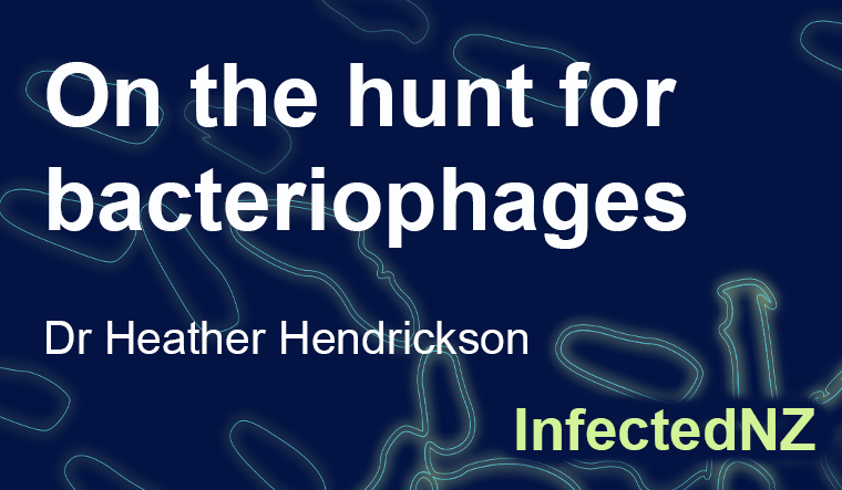 On the hunt for bacteriophages