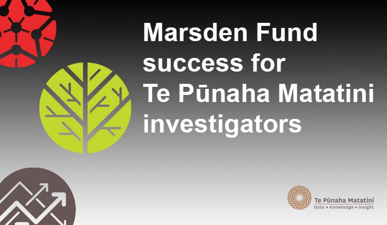 Marsden Fund success for Te Pūnaha Matatini investigators