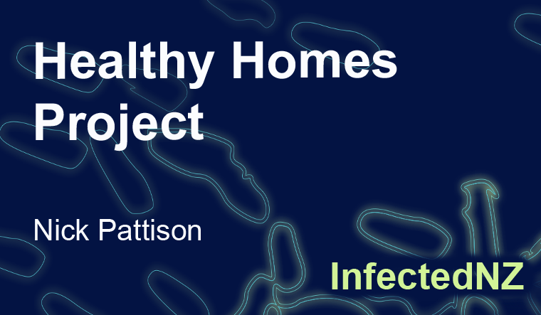 Healthy Homes Project