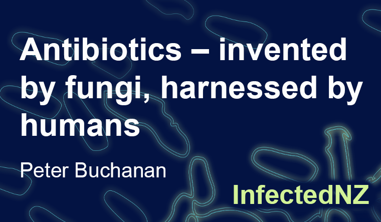 Antibiotics – invented by fungi, harnessed by humans