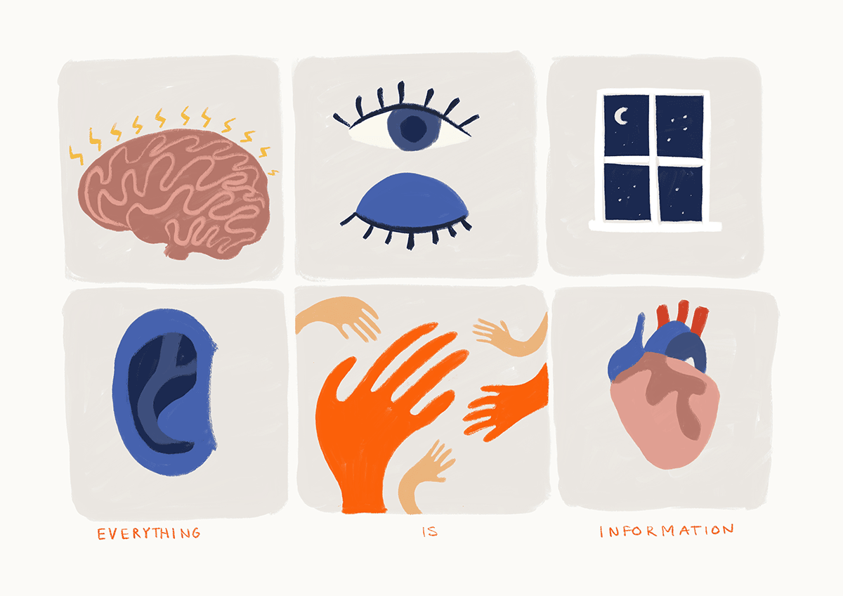 An illustration showing a brain, eye, window, ear, hand and heart with the caption 'everything is information'.