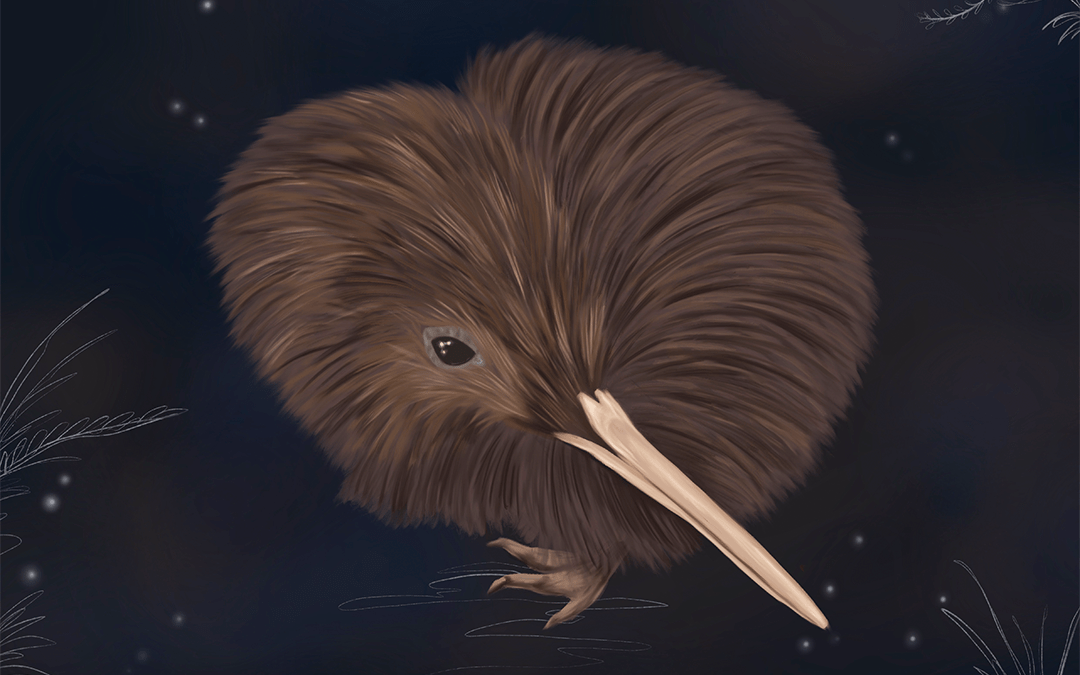 A loving portrait of a brown kiwi.