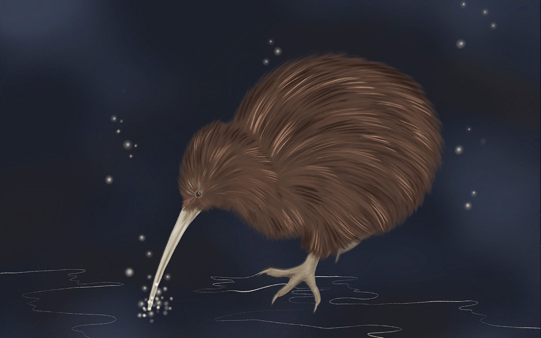 A brown kiwi against a night sky.